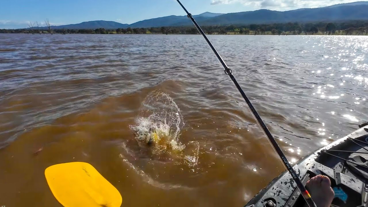 Как поймать желтобрюха, ловля на приманку в грязной воде озера Ниллахкути