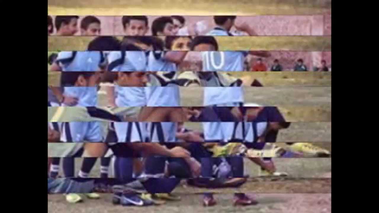 فرق و مدربين نادي الطالبية الرياضي