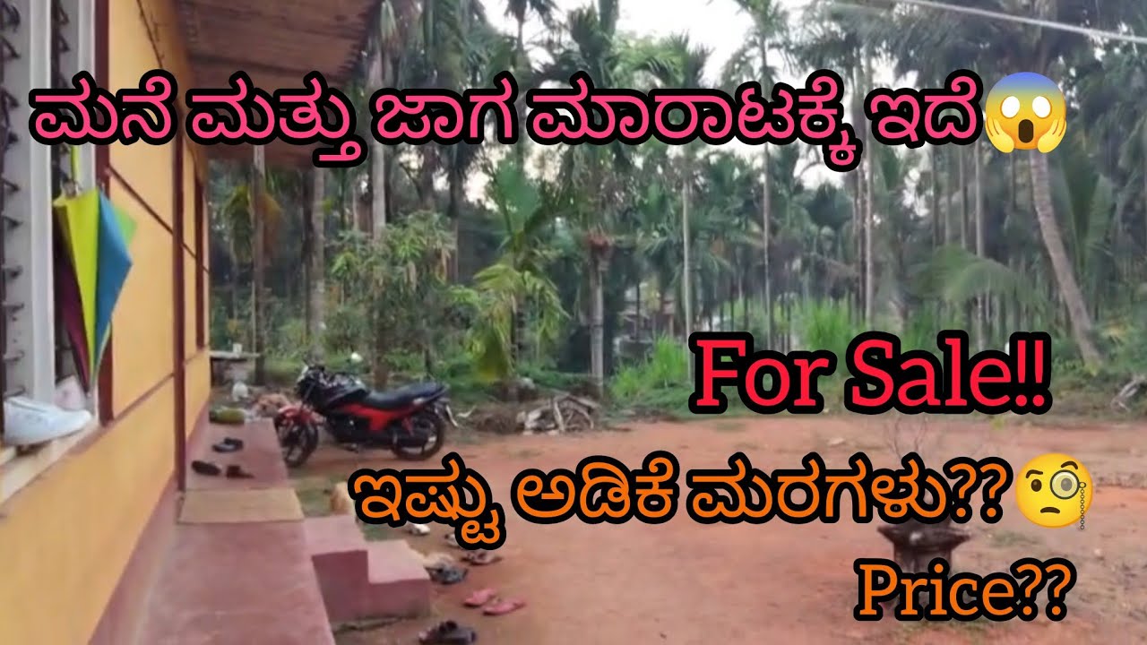 House and land for Sale!!😨| ಮನೆ ಮತ್ತು ಜಾಗ ಮಾರಾಟಕ್ಕೆ ಇದೆ #youtube #viral #home #property #sale #price