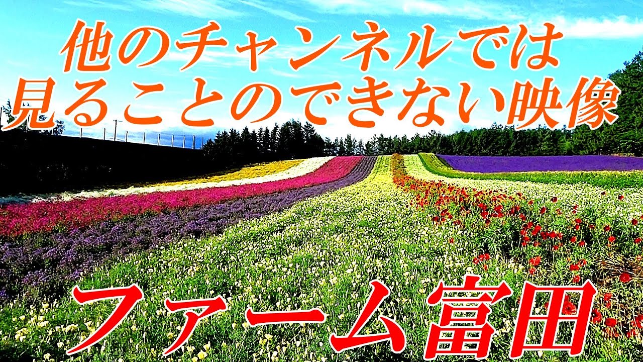 【北海道 富良野】全てみせます！ファーム富田２０２２