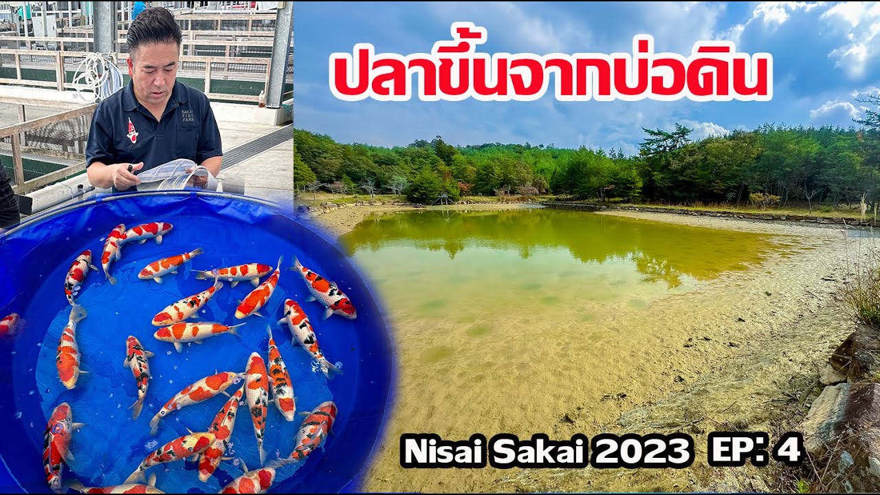 Sakai Nisai 2023 Ep:4 เข้าชมบ่อดิน ตะลุยซาไก วันที่3 Hiroshima Japan