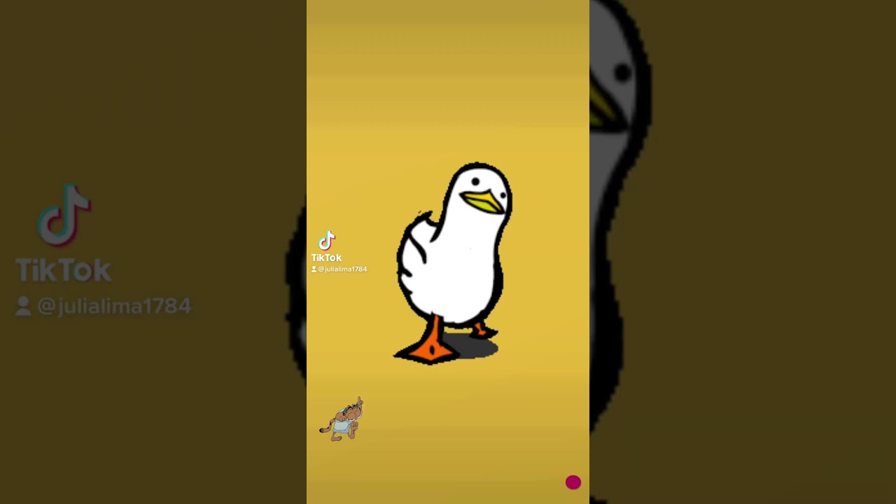#pato