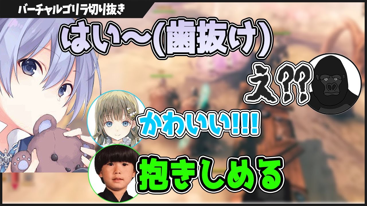 白雪レイドの歯抜け声が可愛すぎて反応してしまうバーチャルゴリラ【バーチャルゴリラ切り抜き】