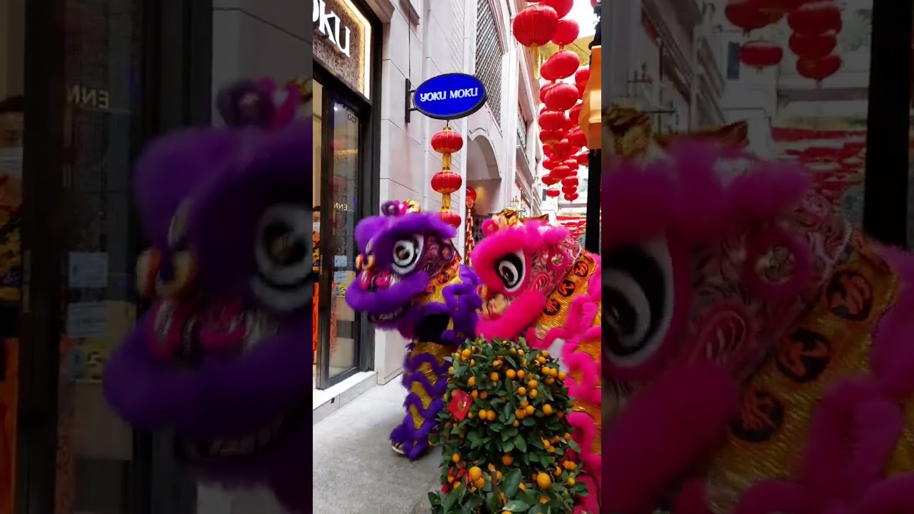 Festival Celebration, Dragon and Lion Dance, also God of Wealth