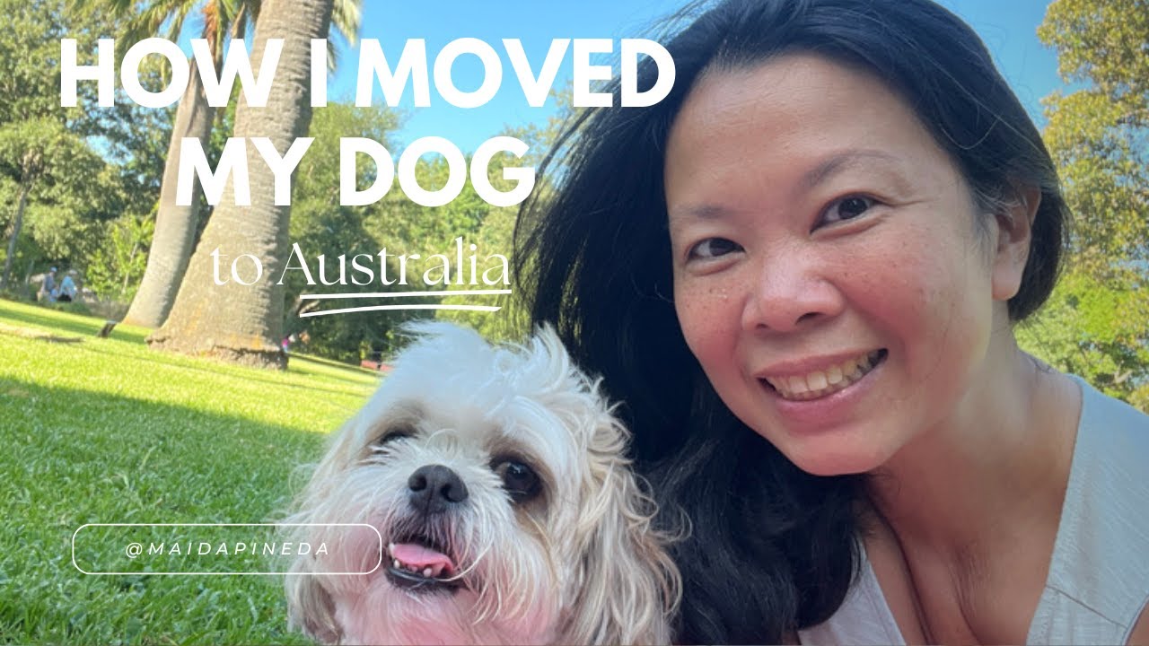 How I moved my dog to Australia from the Philippines