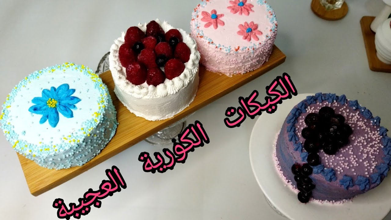 الكيكات الكورية الشهيرة🤩كيكات العلب توندونس العالم/korean popular lunch box cake/مشروع مربح👍