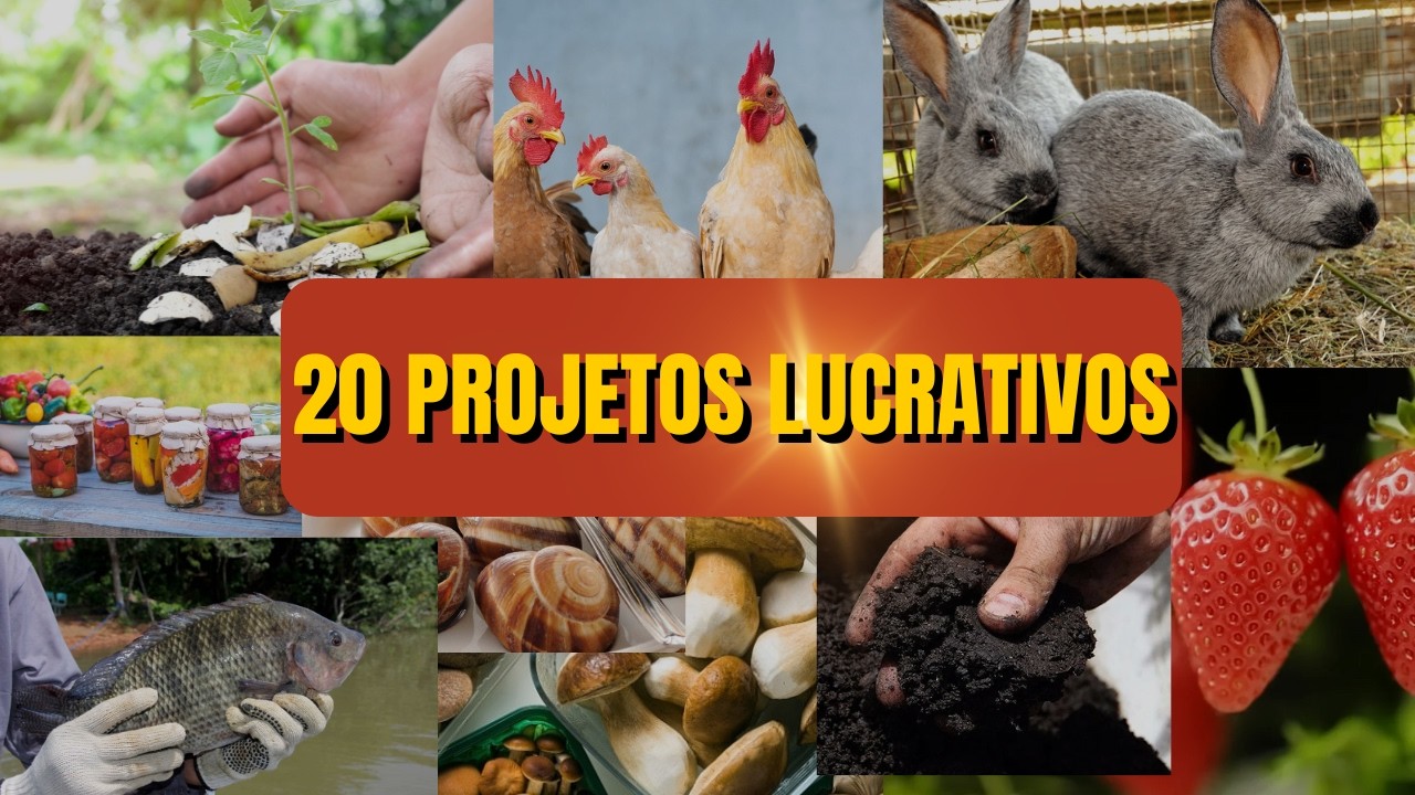 20 IDEIAS LUCRATIVAS PARA SUA PROPRIEDADE RURAL | Ganhe Renda e Alimente Sua Família no Campo!