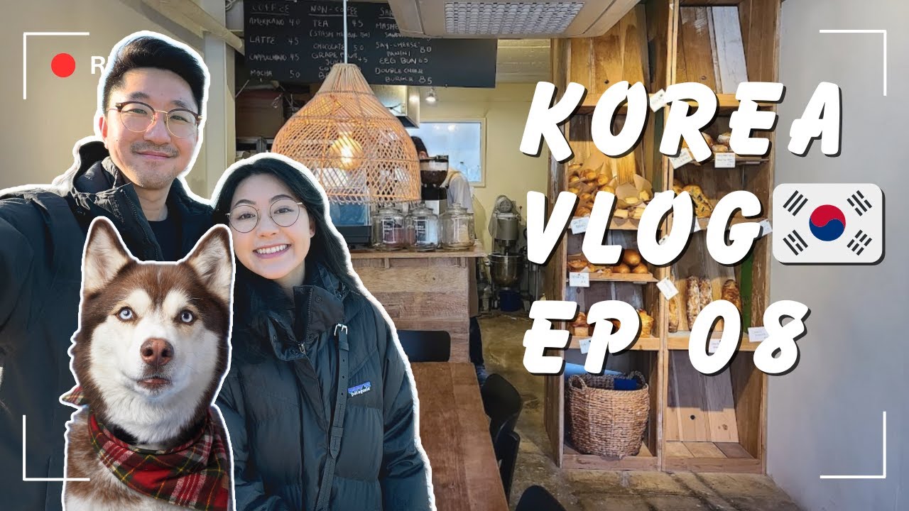 SEOUL TRAVEL VLOG | FIRST DAY in HONGDAE. Is Korea Dog Friendly? (Ep 08)