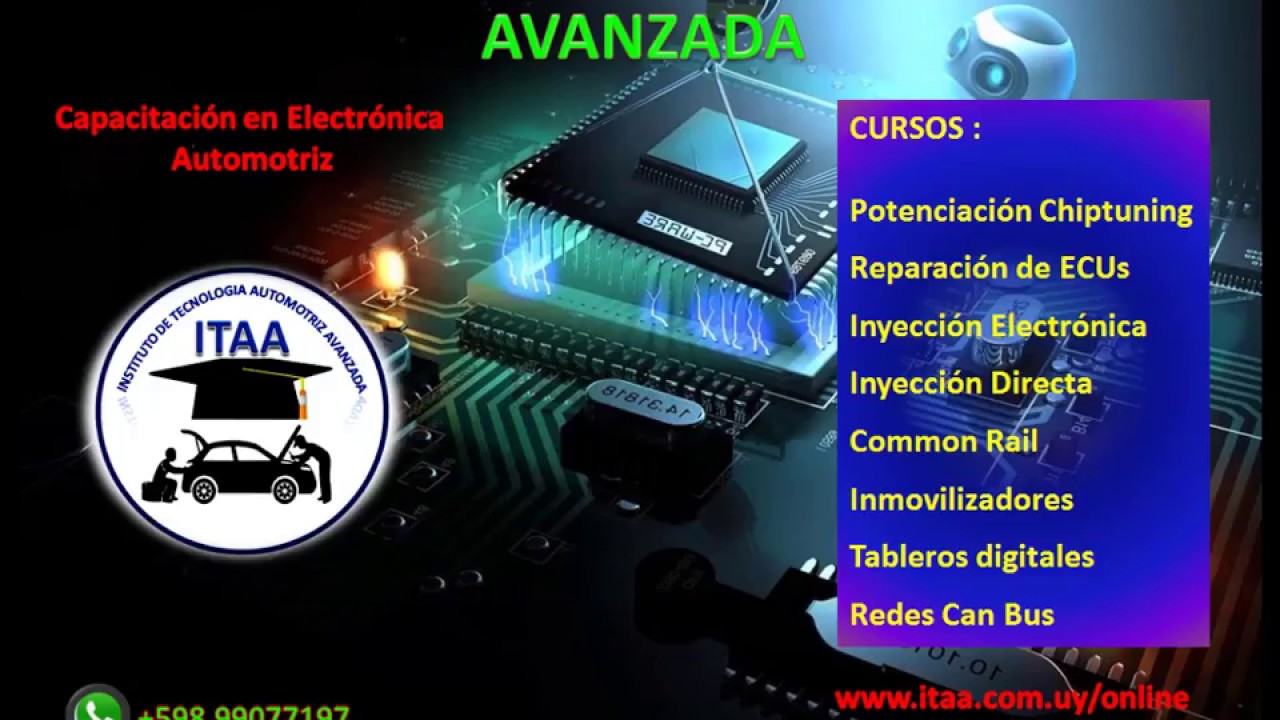 EGR OFF EDC17CP20 VW Amarok (ITAA)