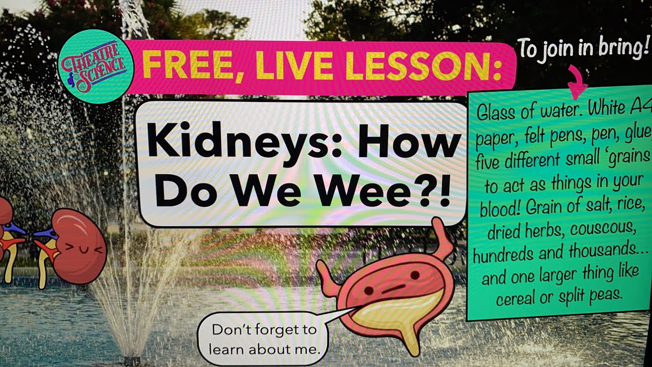 Home Ed: Human Body 5: The Kidneys!