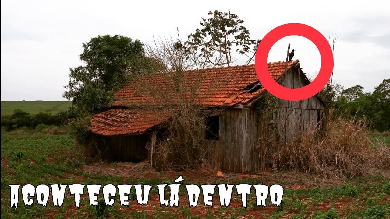 Idosa da Emprego a Um Desconhecido e ele Entra na Casa e Faz algo Muito Terrível contra a Neta e Ela