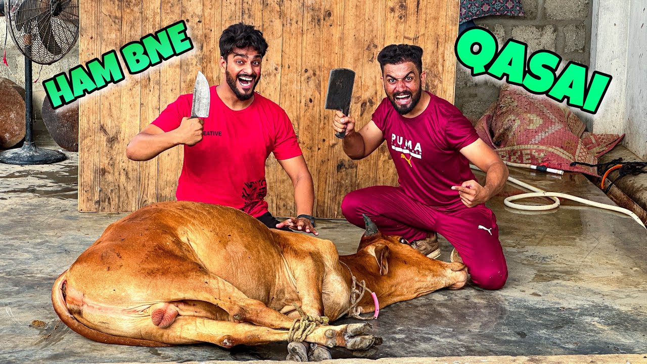 DOBARA QASAI BAN GAE😍JANWAR BHAAG GAYA | BAKRA EID COW VLOG