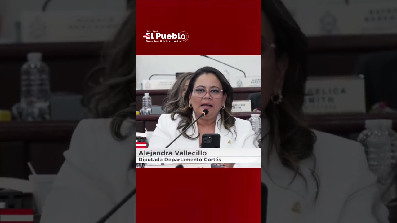 La diputada Alejandra Vallecillo presentó un proyecto de ley