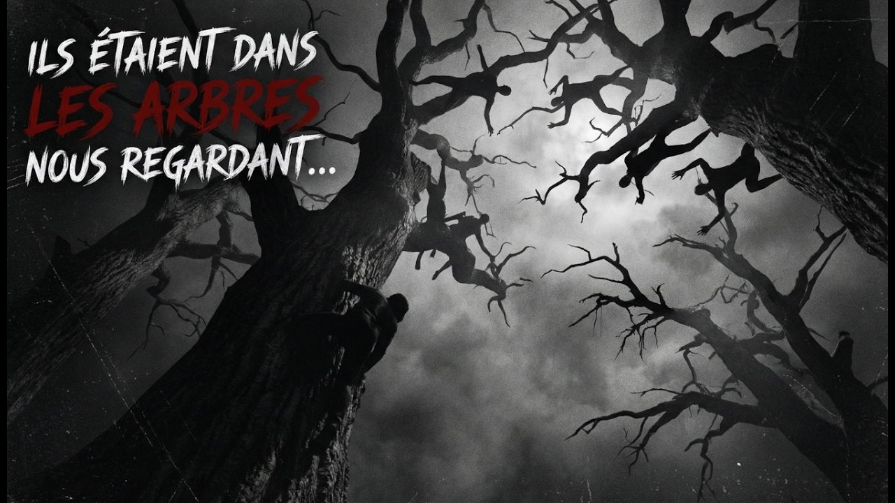4 RÉCITS D'HORREUR en FORÊT Vol. 1 | Témoignages Réels d'Expériences Paranormales