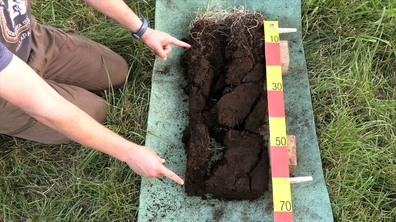 5. Field Methods III: Identifying Pedogenic Zones in Peatland Soils