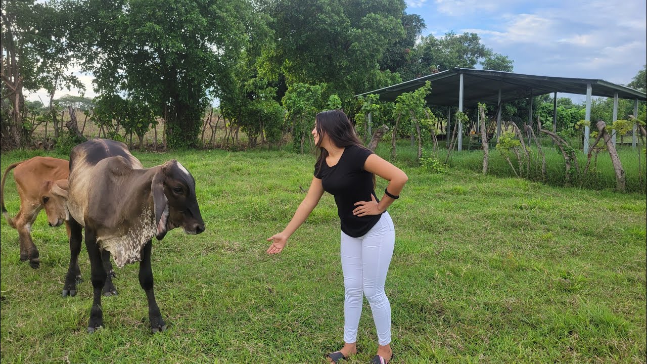 MI ESPOSO ME LLEVO A VER EL NUEVO GANADO MIREN QUE HERMOSO 😍🤠