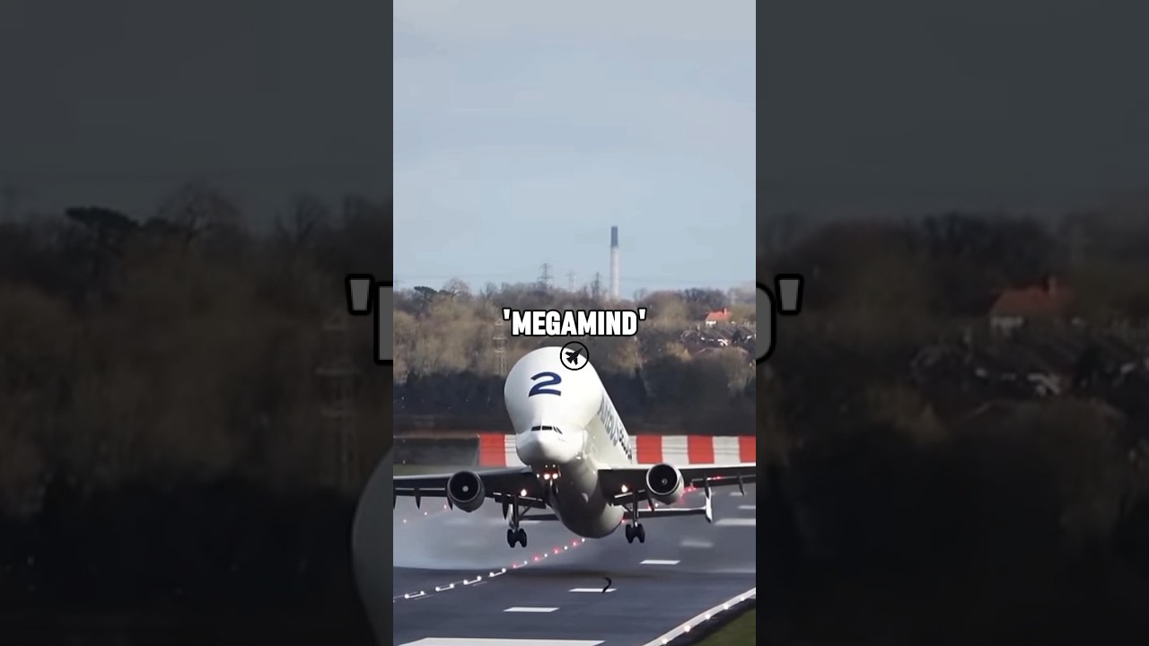 The BEST Fighter Pilot Callsigns 🛩️