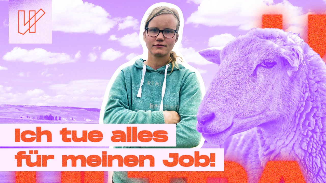 Harte Arbeit, wenig Geld: Schäferin ist ein Knochenjob