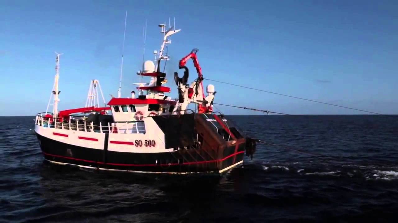 CELTIC SEA HERRING 2015