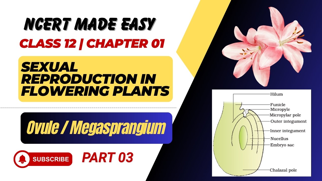 Sexual Reproduction in Flowering Plants | Part 3 | Pistil, Ovuel/Megasporangium | NCERT Explain Neet