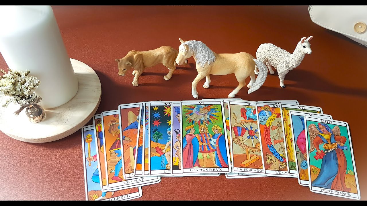 ⚡LUCHAR  VS DEJAR IR ⚡ENFRENTARA TODO O DAR&Aacute; LA ESPALDA A LA SITUACI&Oacute;N🍒 EMOCINALMENTE 🍒 🔮REFLEXIONA🔮
