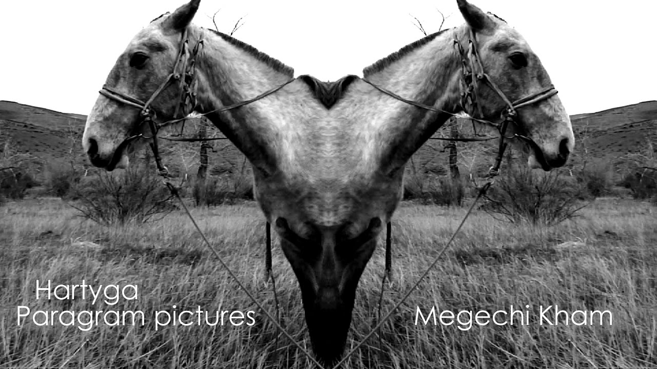 Hartyga - Megechi Kham