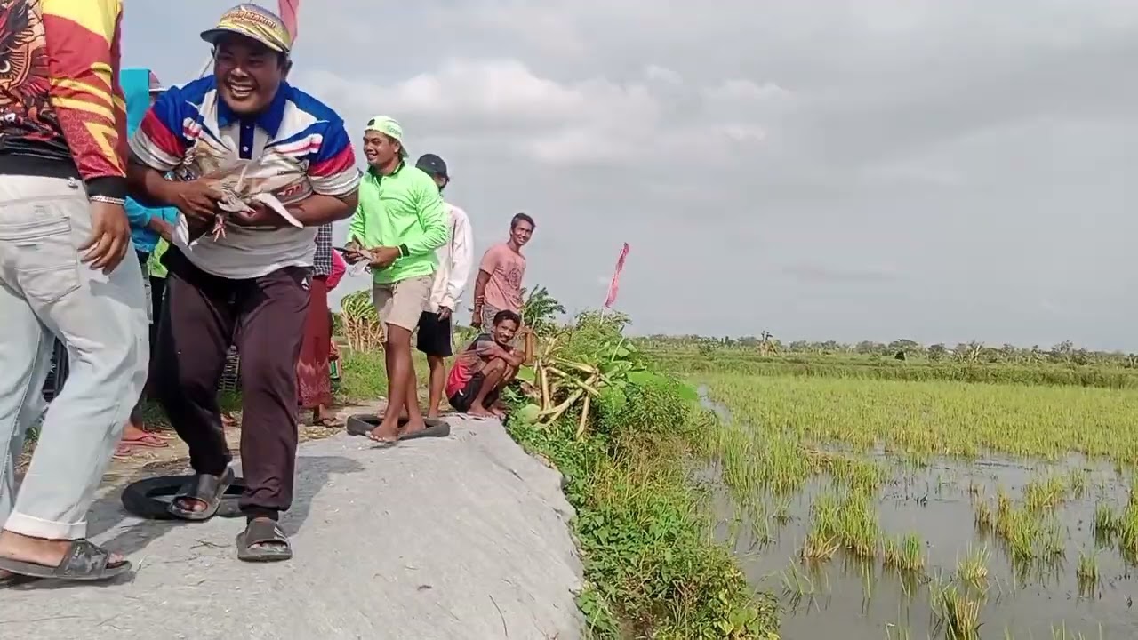 Lomba hari jumat 500 M.lp.sinan juara baru kaji tukul