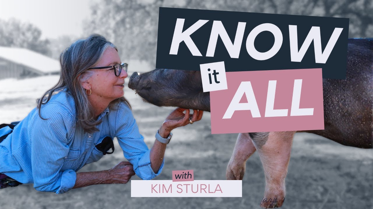 Kim Sturla:  
