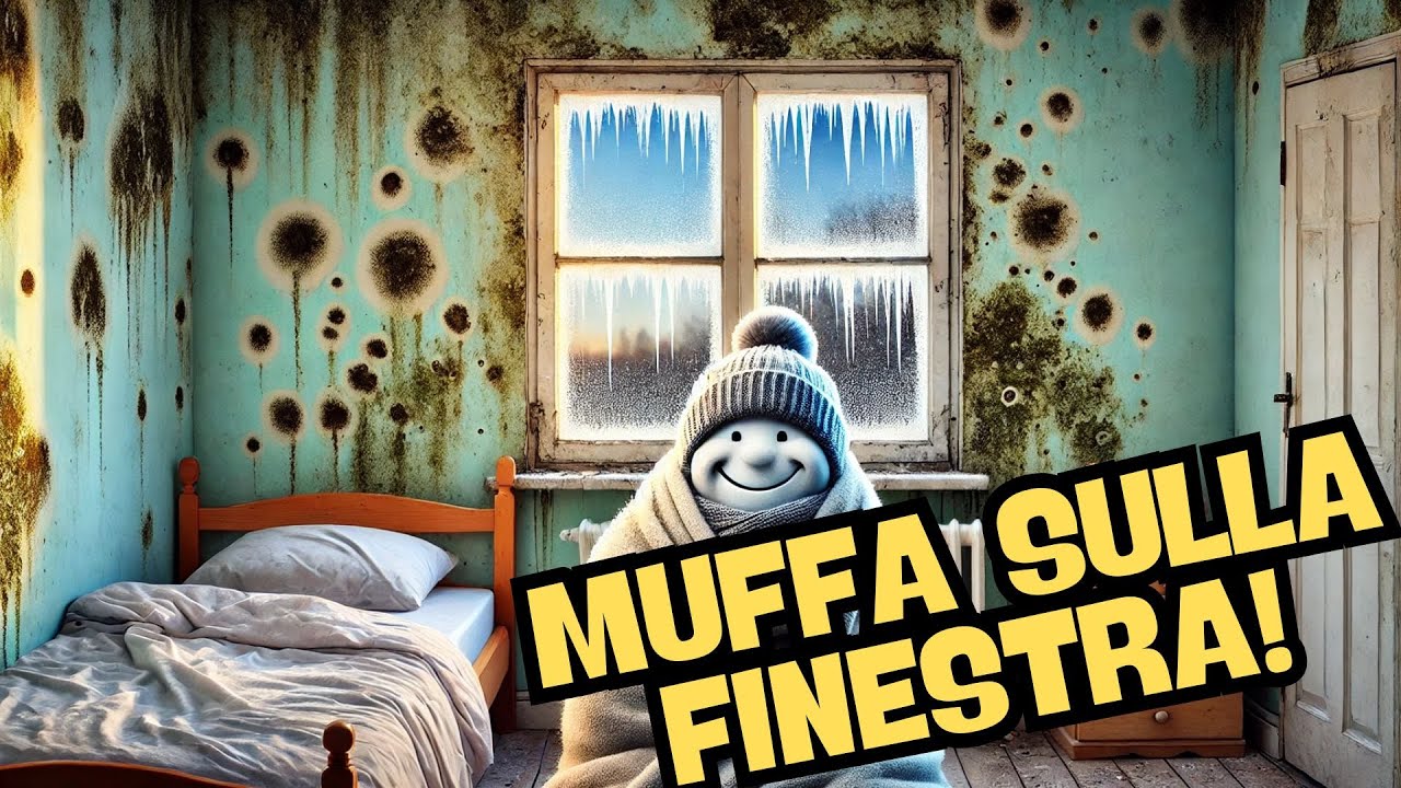 Muffa sulle finestre di legno per colpa dei vapori e della condensa!