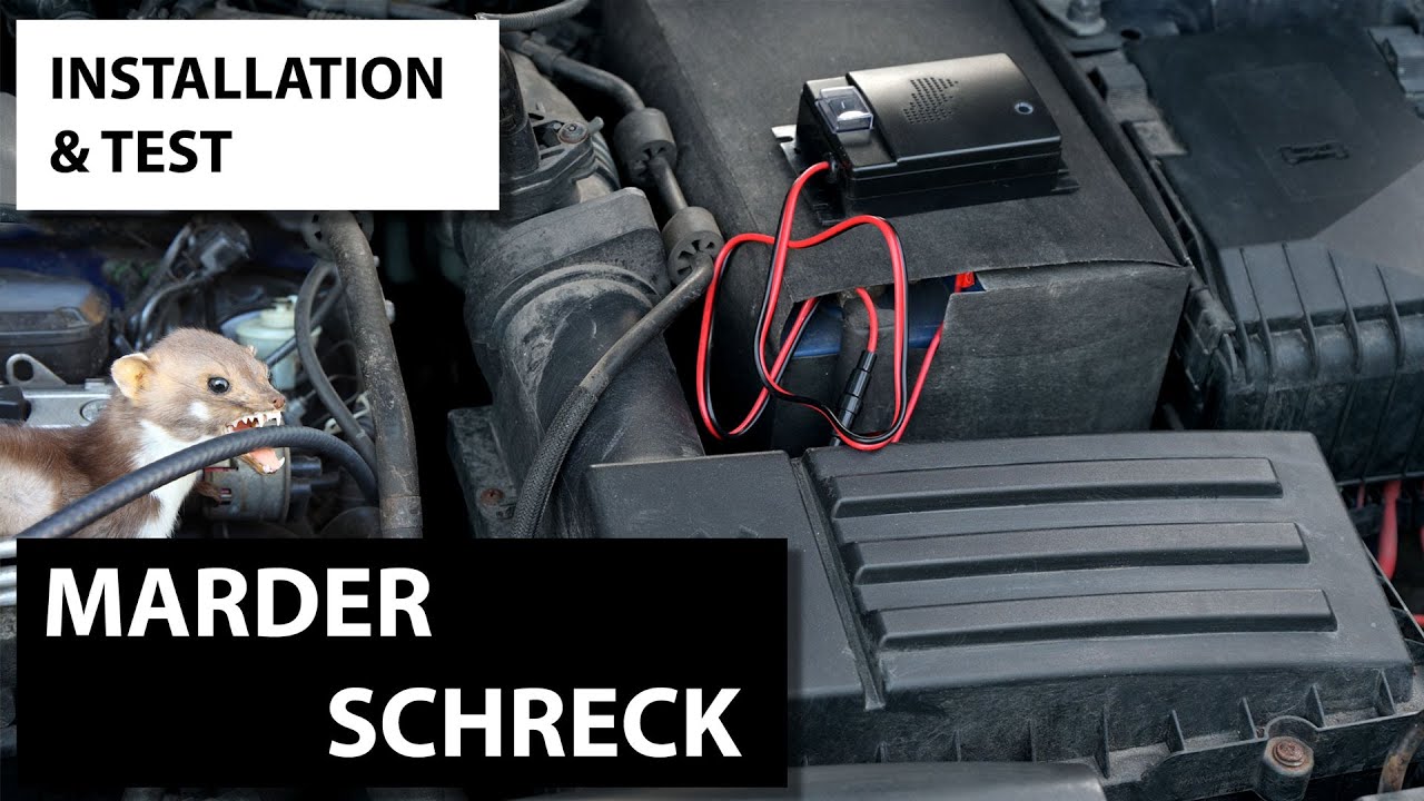 MARDERSCHRECK fürs KFZ / Einbau und Test