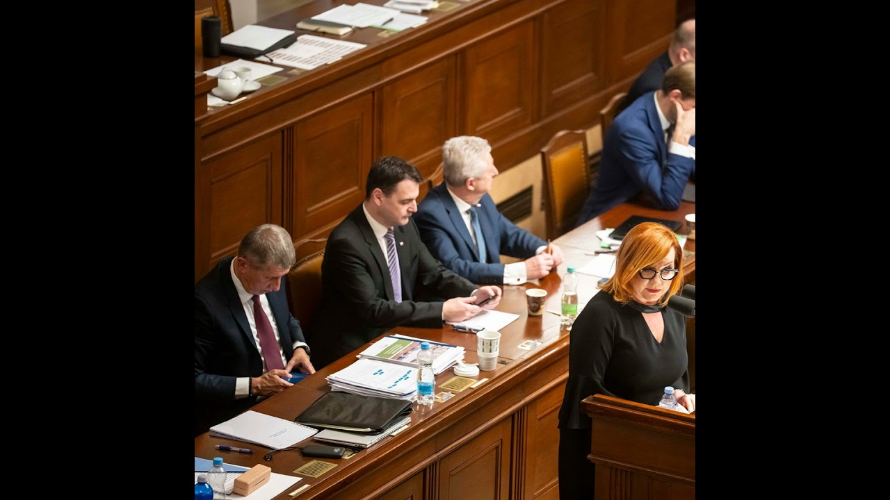 Babišovi se s EET 2.0 po dvanácti letech splní sen. Nad přínosem do rozpočtu stojí otazník