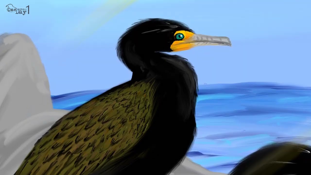 Double crested Cormorant 미국 쇠가마우지 그리기