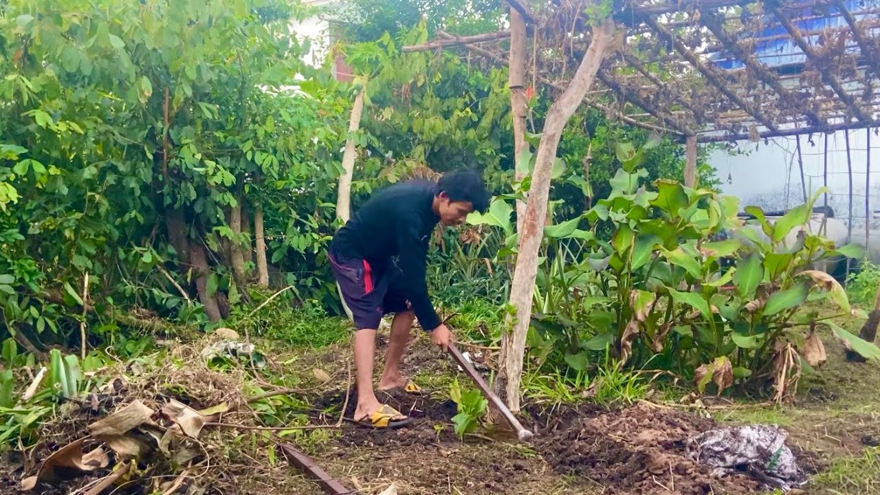 Turning Waste Land into an Cultivation area (Part1)