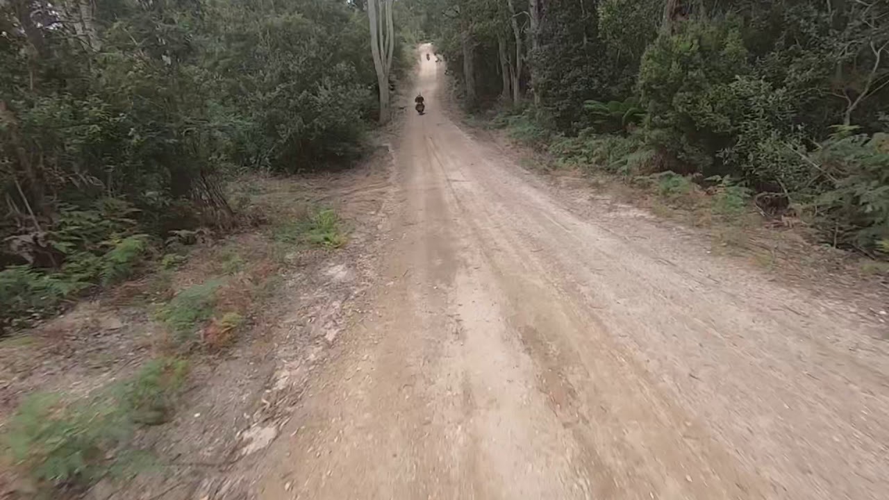 3 Amigos leaving Musselroe Bay
