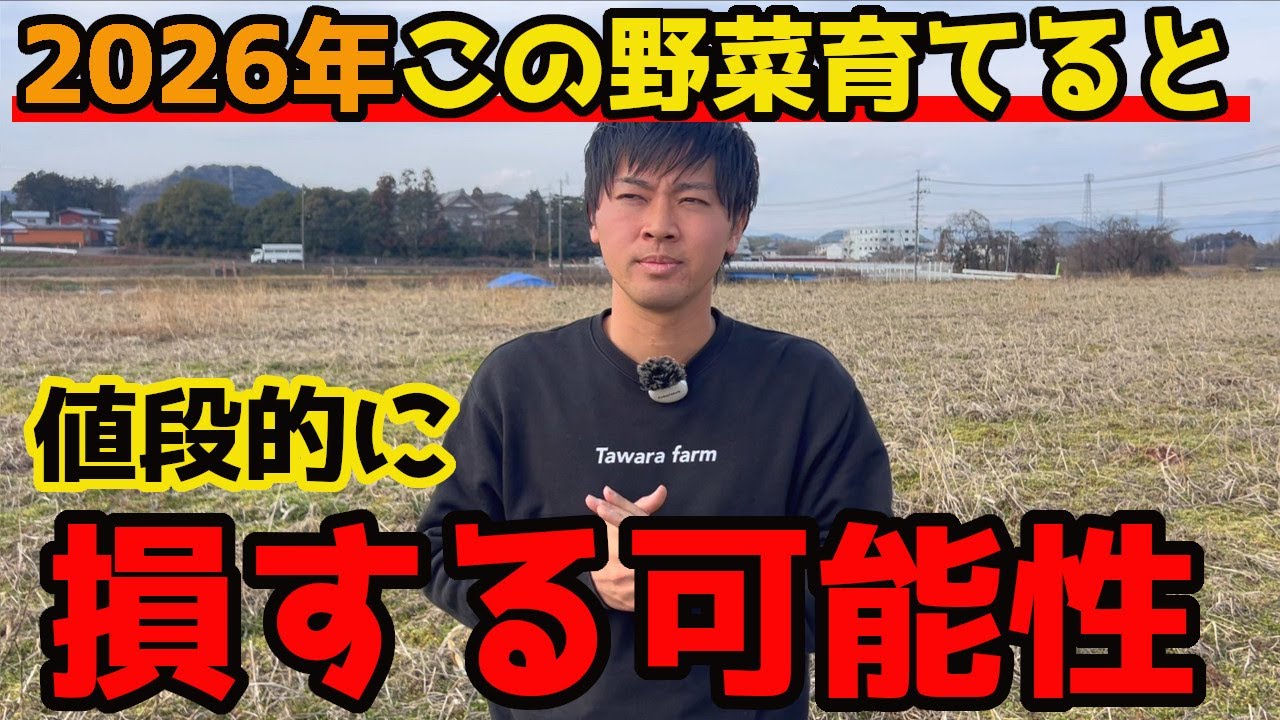 【ショック】家庭菜園で育てると”値段的に”損するかもしれない野菜についてお話しします。