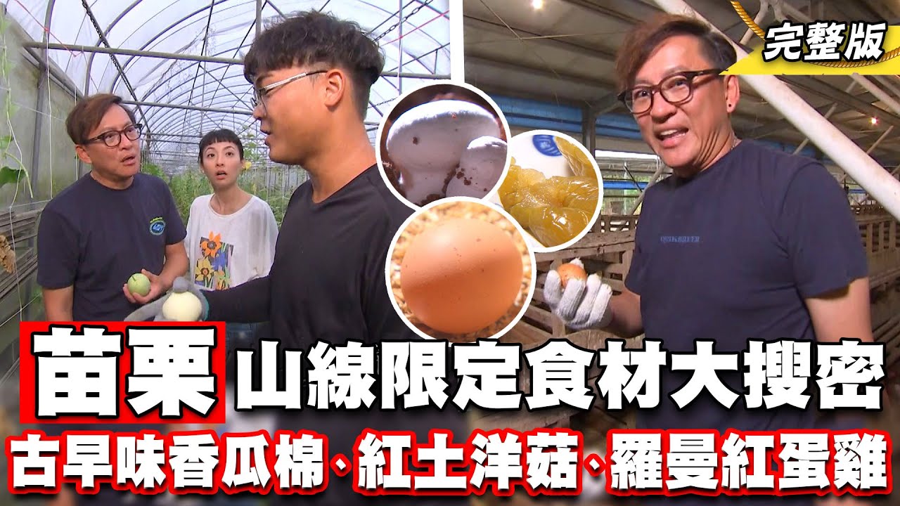 《詹姆士出走料理》苗栗山線產地限定食材大搜密! 古早味香瓜棉、紅土無毒洋菇與吃野菜的