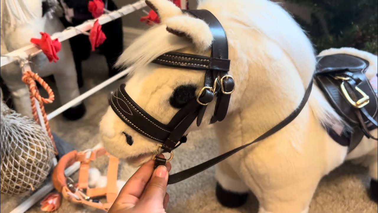 Mini LeMieux Pony Spring Morning Routine