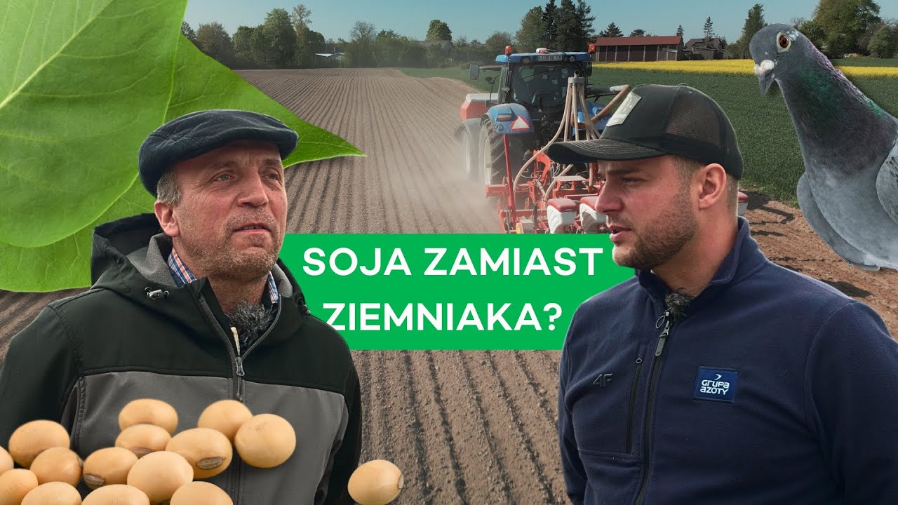 SOJA NA 4 TONY,  SIEW PUNKTOWY, GOŁĘBIE I OCHRONA - #339 nawozy nonstop