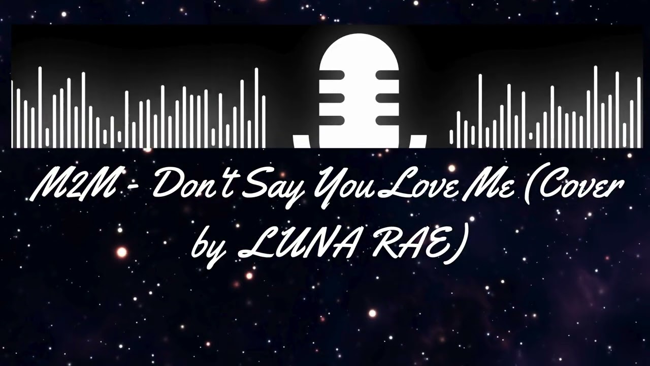 DONT SAY YOU LOVE ME