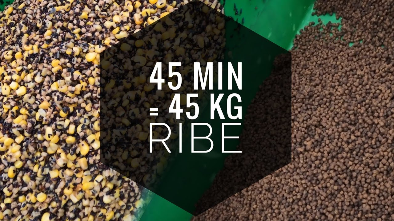 45KG SARANA ZA 45MIN - METHOD FEEDER BACKI JARAK
