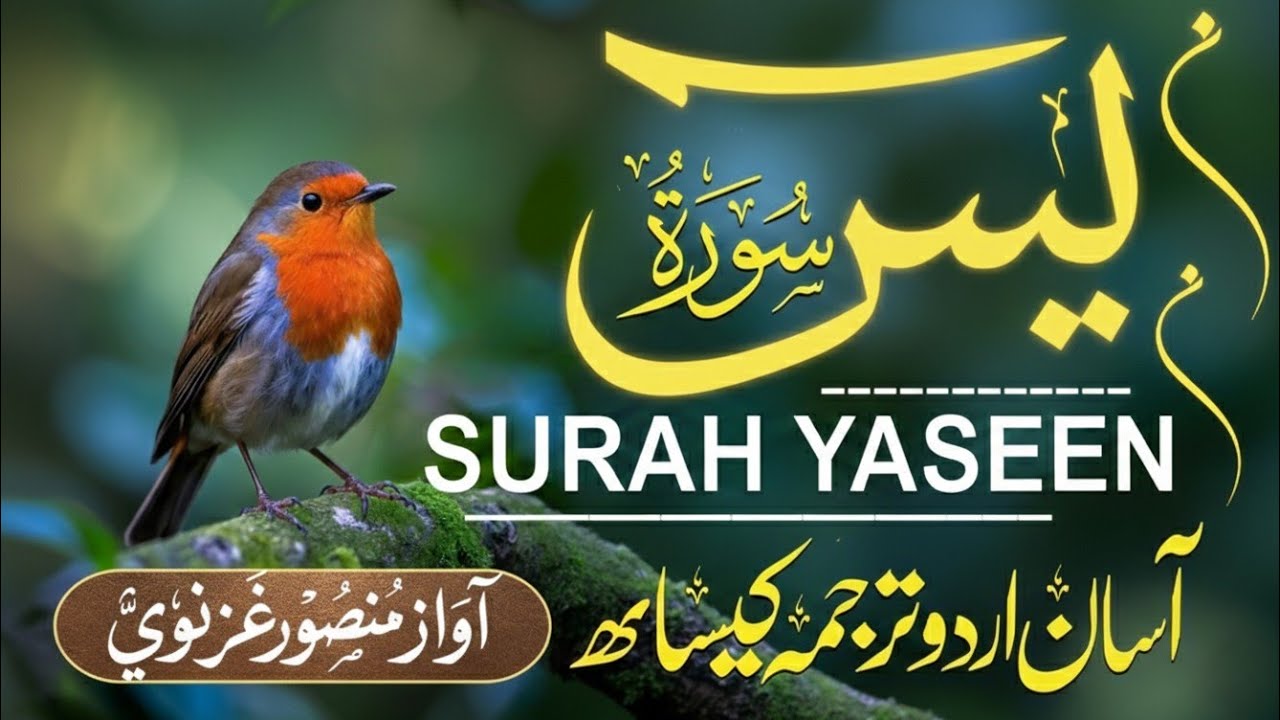 Surah Yasin ( yaseen ) With Urdu Translation |(سورة يس )🌿 Quran with Urdu and Hindi Tarjuma |Epi 303