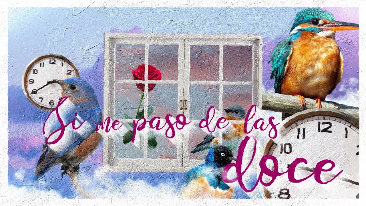 Nicole Gatti - T&iacute;mida (Lyric Video)
