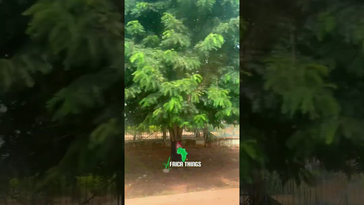 Bechem Street Views: Experience the Charm of Ghana&rsquo;s Small Towns
