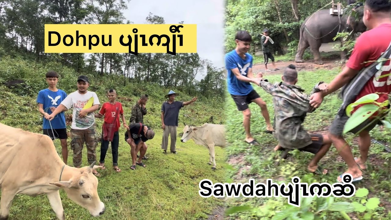 1 September လဲၤပှ့ၤန့ၢ်ယဖိယလံၤကျီၢ်
