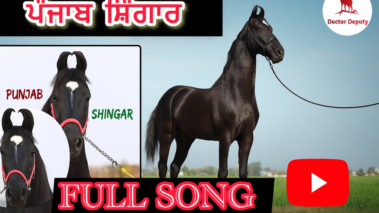 Punjab shingar full song #punjabisong #punjabshingar #punjabi #punjab #shingar 