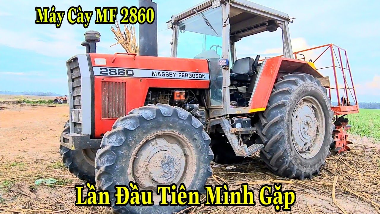 Lần Đầu Tiên Gặp Được Máy Cày MF 2860 Vui Như Được Sắm Đồ Tết,Xác To Bánh Lớn, Máy Cày Tây Ninh