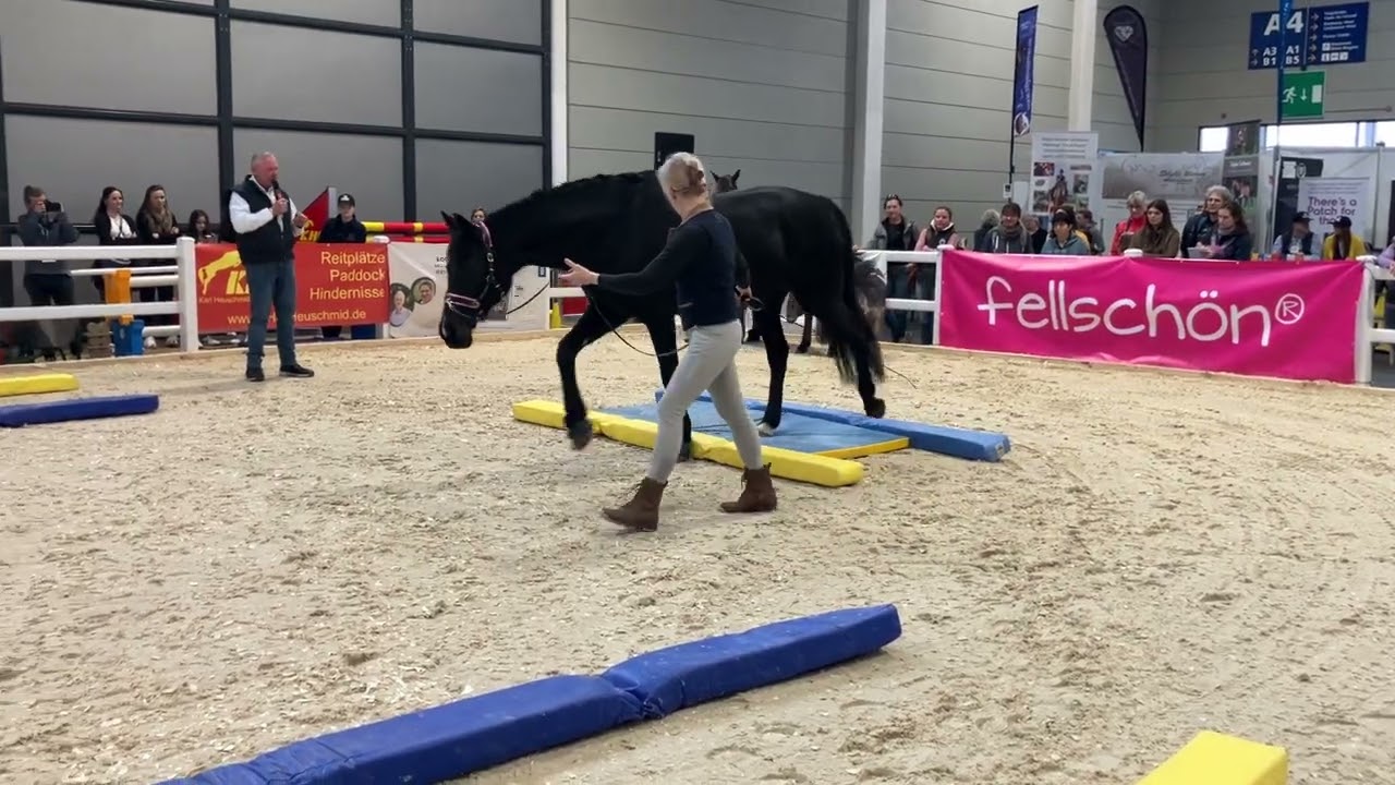 EquiGym Vorführung mit Michael Geitner und Alexandra Schmid an der Pferd Bodensee 2024