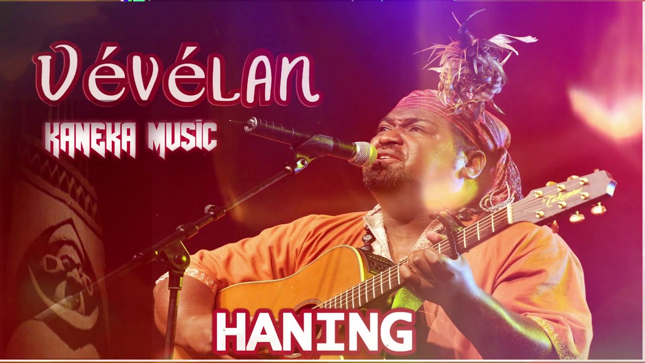 VEVELAN-Haning-kaneka 2019