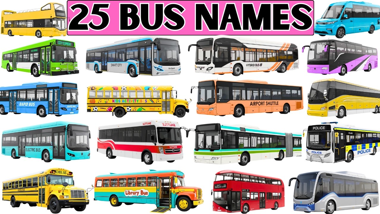 Названия автобусов | 25 простых названий автобусов для малышей 🚌