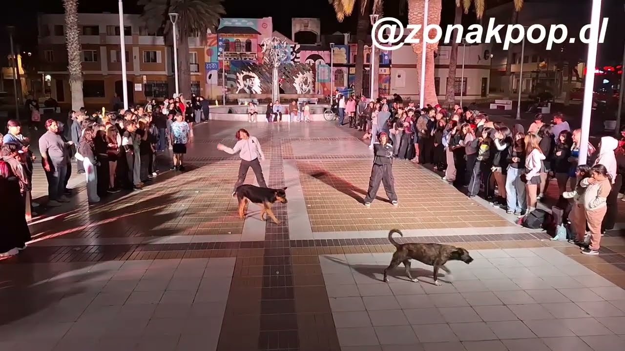 KPOP RANDOM PLAY DANCE - [27.09.2025] - Coquimbo
